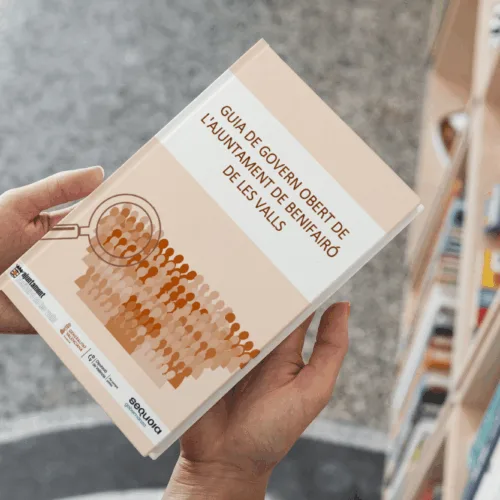 Reglamento de Participación Benifairó de les Valls