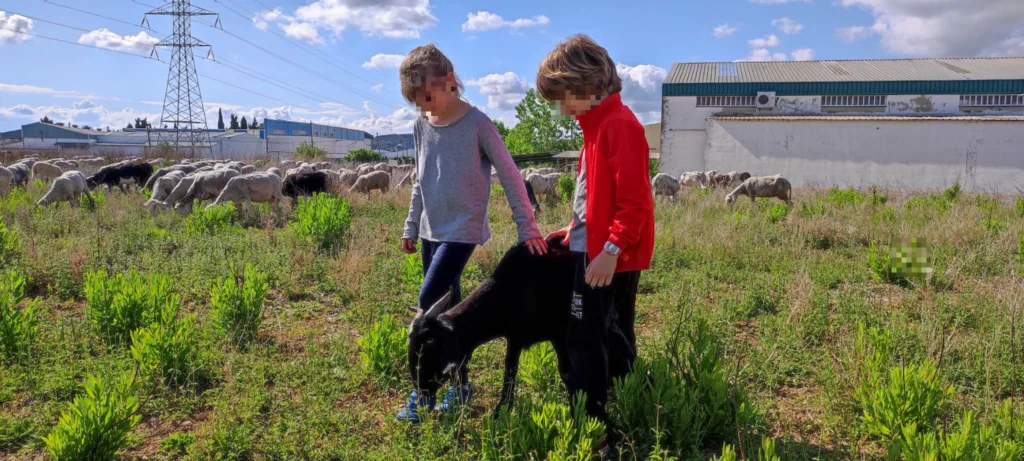 1683995384303_censored (1)