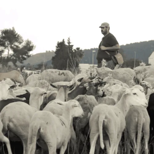 Volver al Pasado para Construir el Futuro