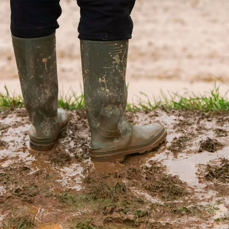 Ayudas DANA: Impulso a la Recuperación Social