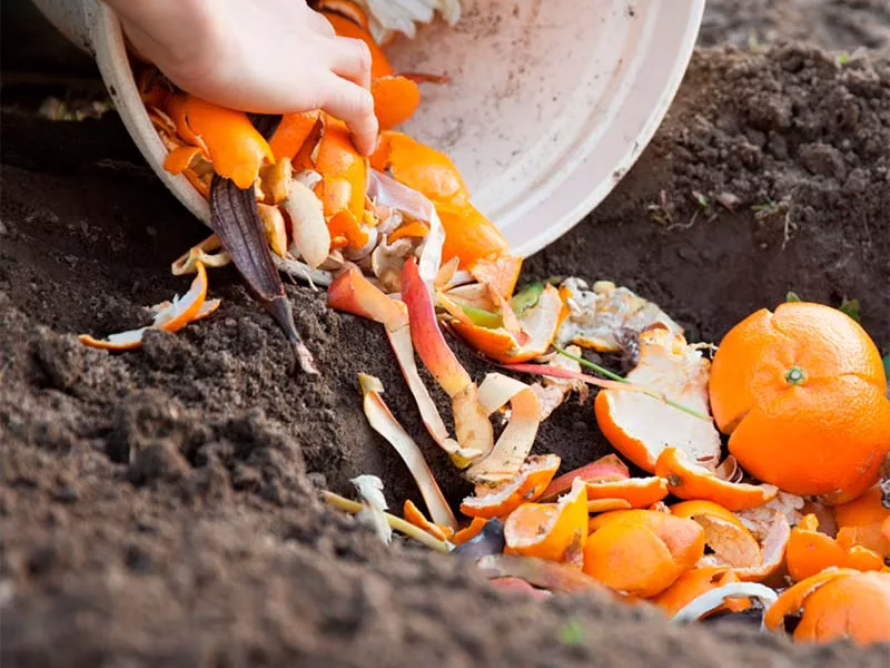 Cómo la ciudadanía transforma la gestión de residuos