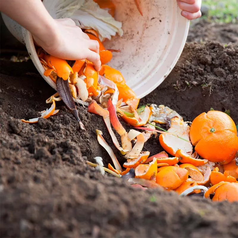 Cómo la ciudadanía transforma la gestión de residuos