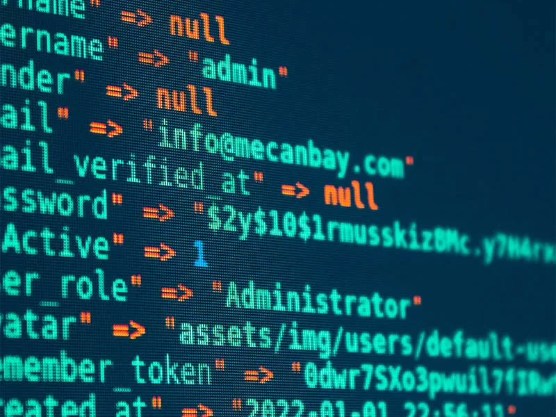 Cuando la transparencia digital se convierte en ciberseguridad