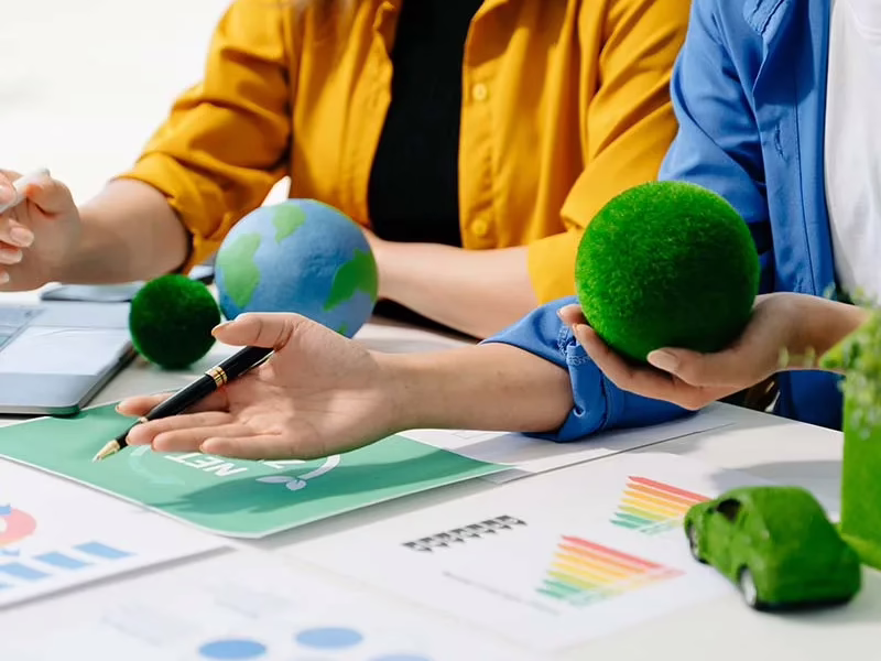 Estudios de impacto ambiental