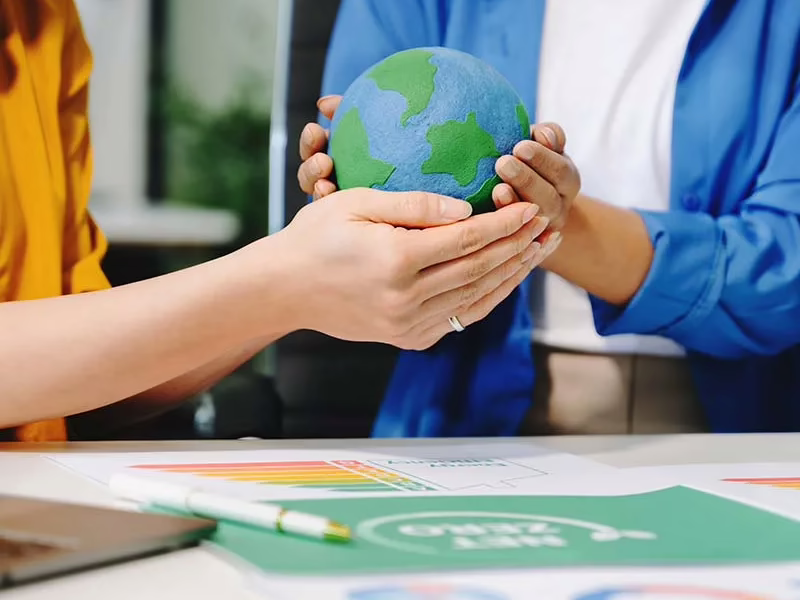 Servicios de consultoría ambiental